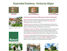 Tablet Screenshot of feneberghof.de